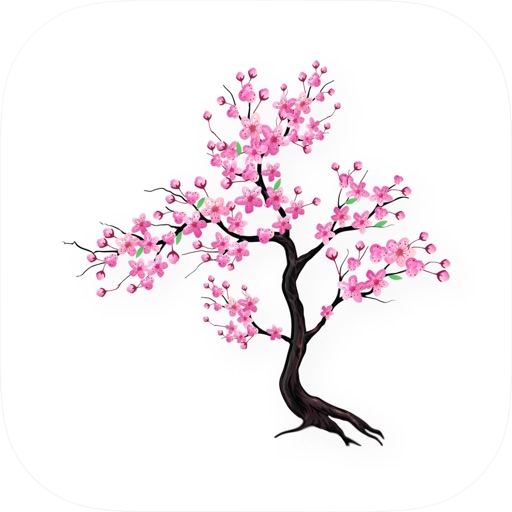 Timefully - Meditation Timer தியான செயலி விமர்சனம்